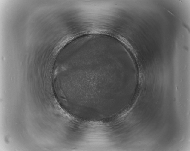 X0000101670577200807311459