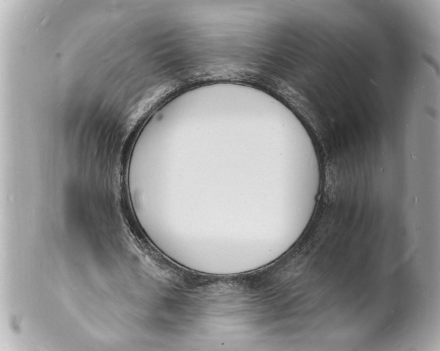 X0000101670578200807311459