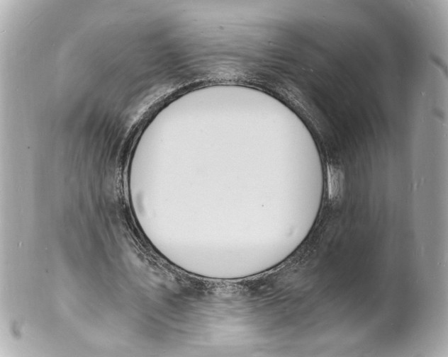 X0000101670579200807311459