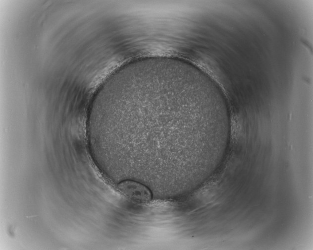 X0000101670581200807311459