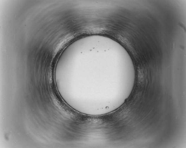 X0000101670582200807311459