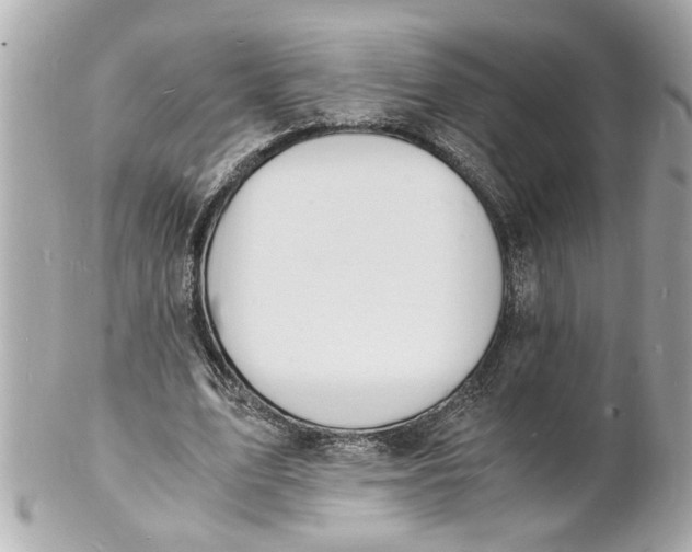 X0000101670583200807311459