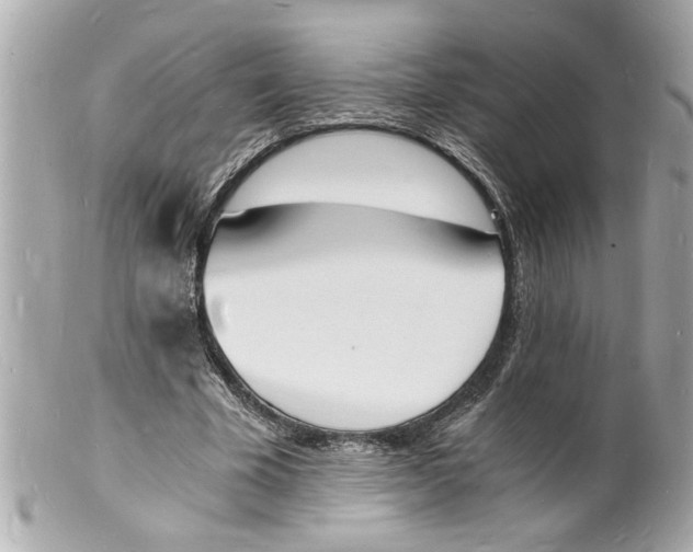 X0000101670585200807311459