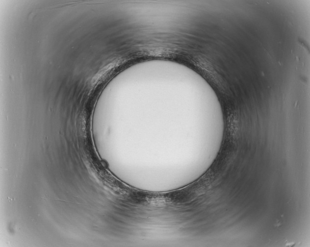 X0000101670587200807311459