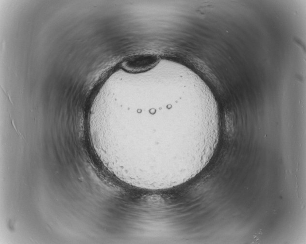 X0000101670588200807311459