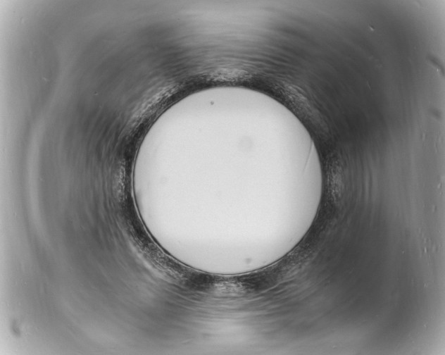 X0000101670591200807311459