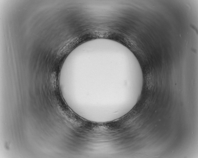 X0000101670594200807311459