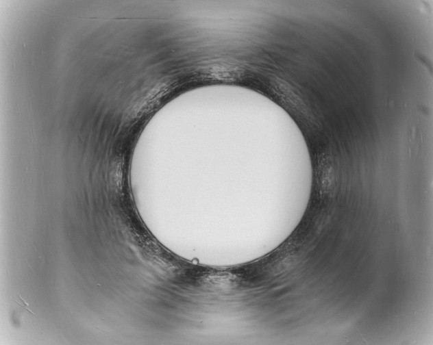 X0000101670595200807311459