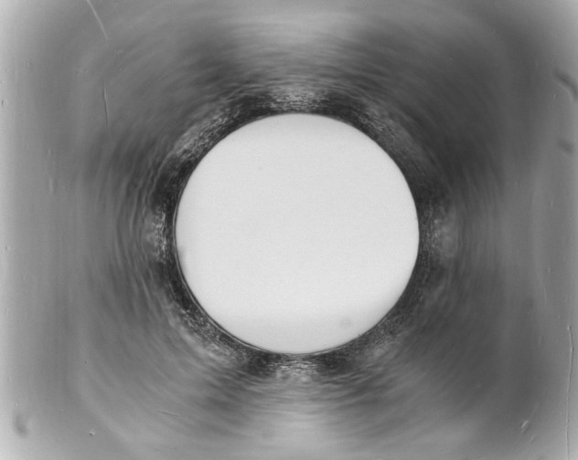 X0000101670599200807311459