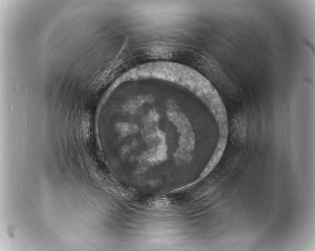 X0000101670600200807311459