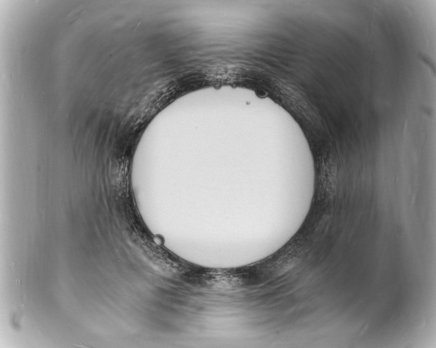X0000101670601200807311459