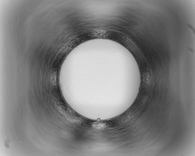 X0000101670602200807311459