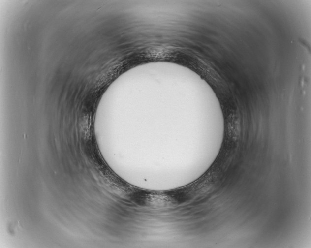 X0000101670605200807311459