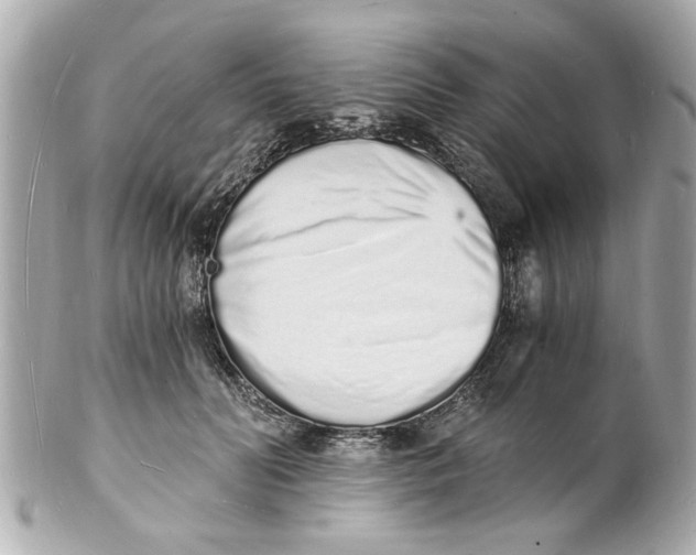 X0000101670606200807311459