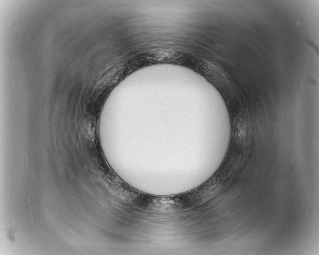 X0000101670607200807311459