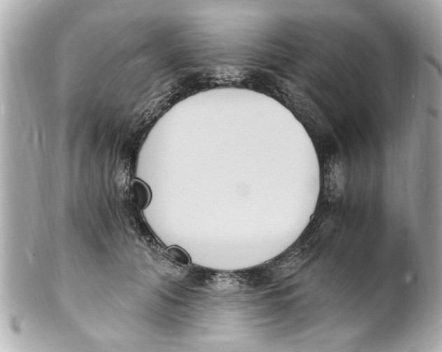 X0000101670608200807311459