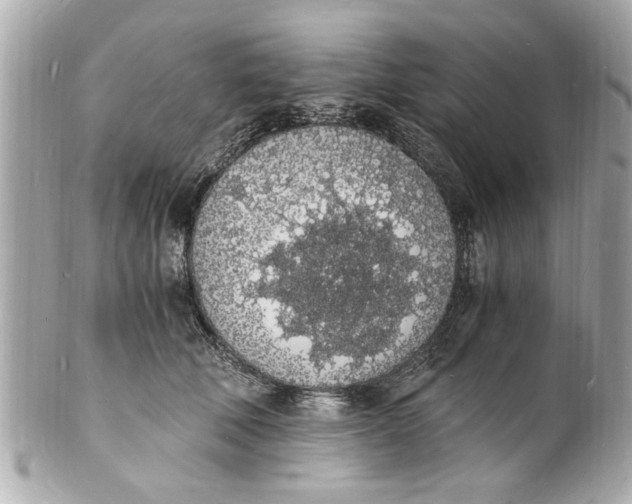 X0000101670610200807311459