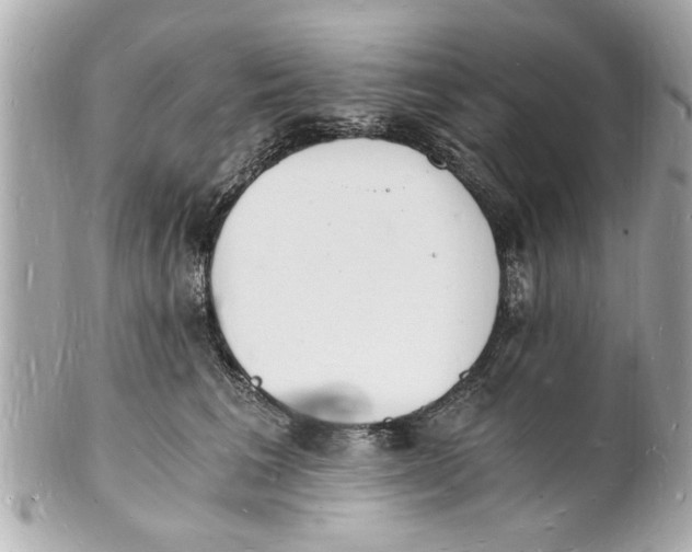 X0000101670613200807311459