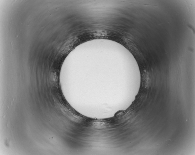 X0000101670614200807311459