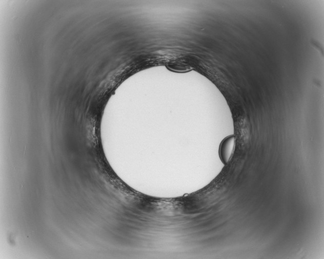 X0000101670615200807311459