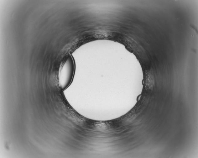 X0000101670616200807311459