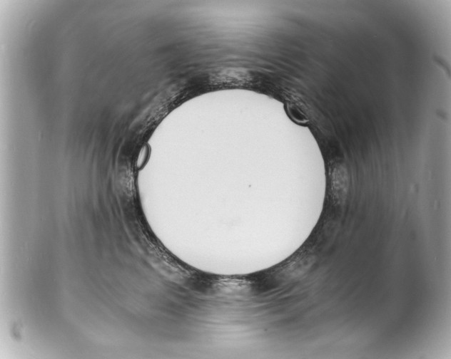 X0000101670617200807311459
