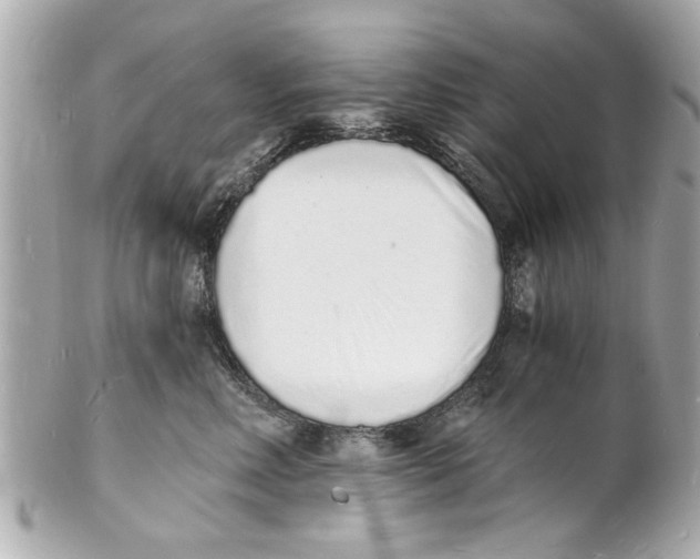X0000101670618200807311459