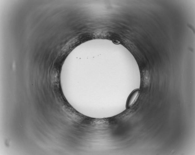 X0000101670619200807311459