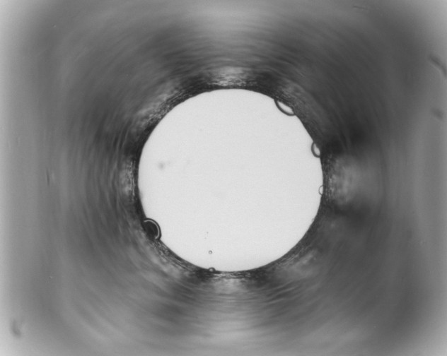 X0000101670620200807311459