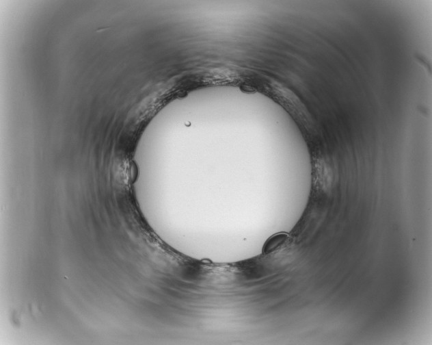 X0000101670621200807311458