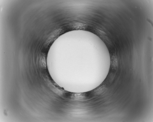 X0000101670622200807311458
