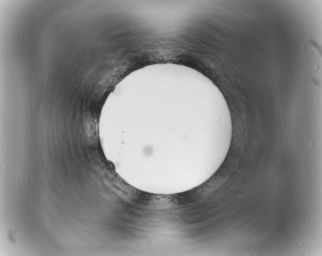 X0000101670624200807311458