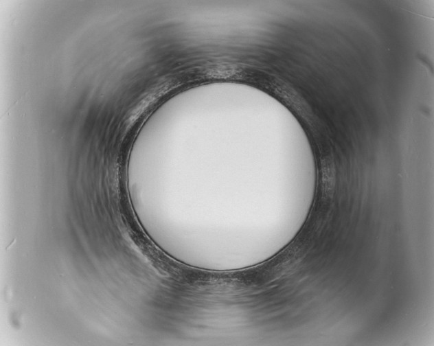 X0000101670626200807311458