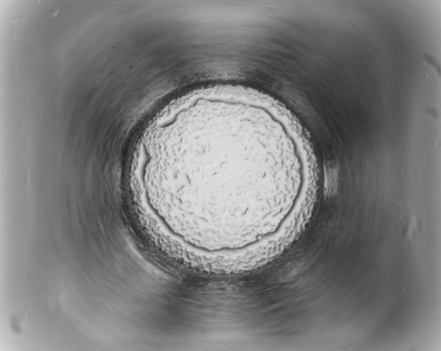 X0000101670627200807311458