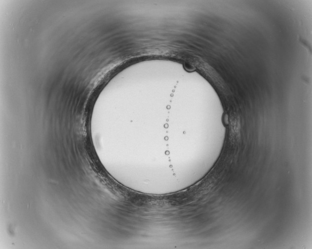 X0000101670628200807311458