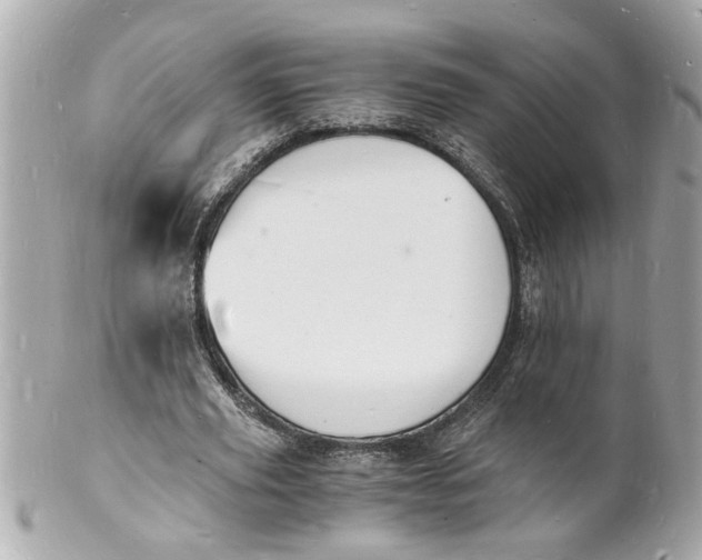 X0000101670629200807311458
