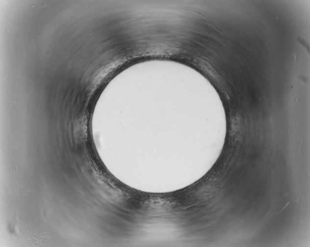 X0000101670632200807311458