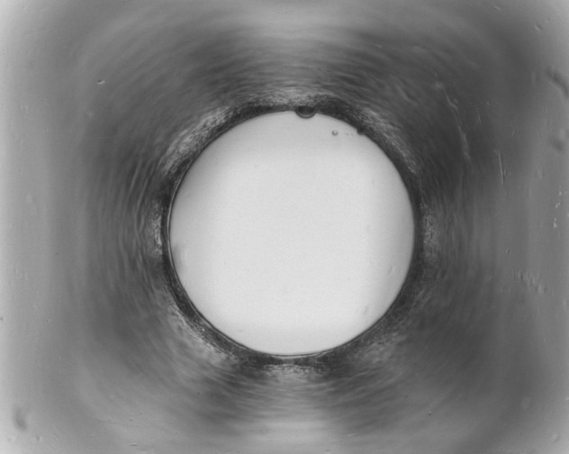 X0000101670633200807311458