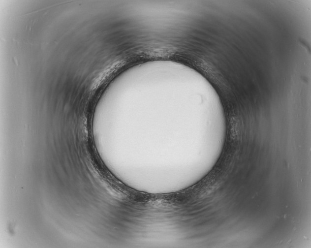 X0000101670634200807311458