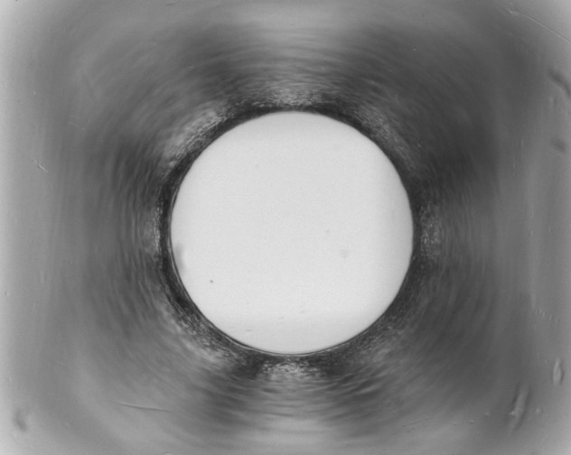 X0000101670635200807311458