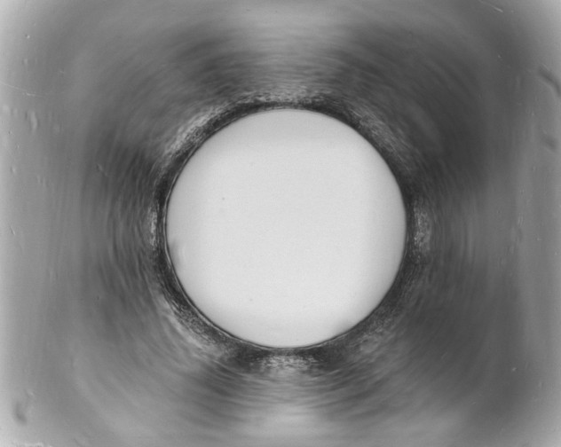 X0000101670636200807311458