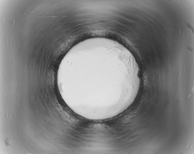 X0000101670637200807311458