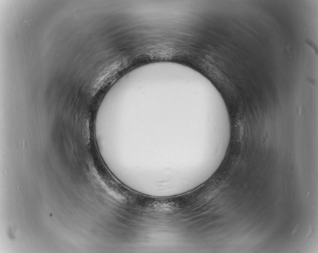 X0000101670638200807311458