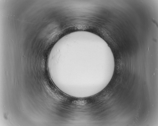 X0000101670639200807311458