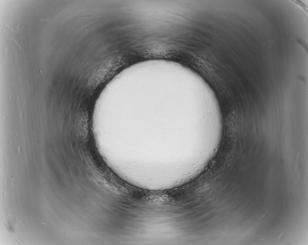 X0000101670642200807311458