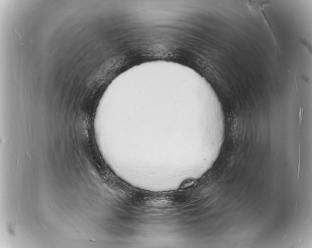 X0000101670643200807311458
