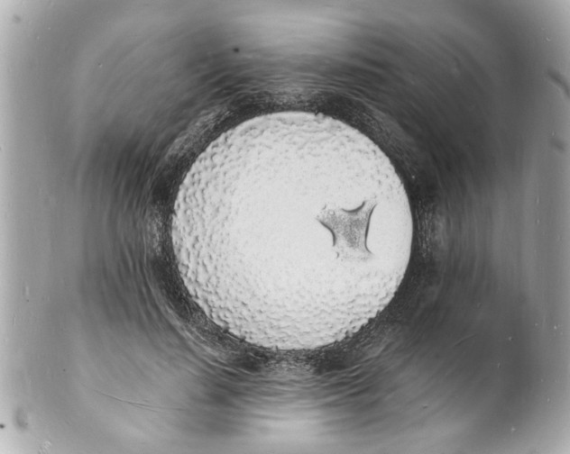 X0000101670644200807311458