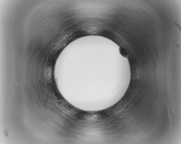 X0000101670646200807311458