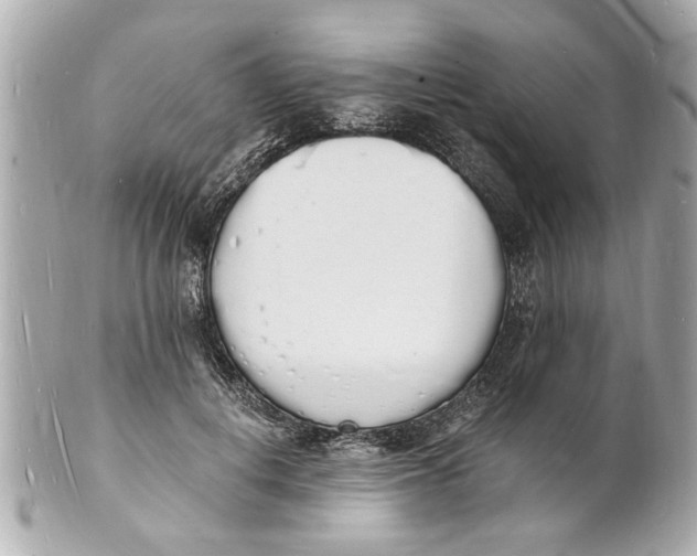 X0000101670648200807311458