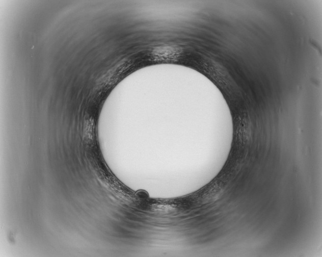 X0000101670649200807311458